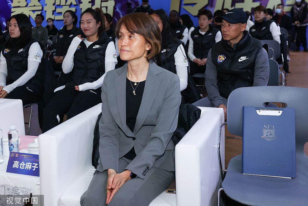该剧翻拍自50年前的英国同名剧集（原剧改编自长篇小说，而且具有多达15部衍生片子），在翻拍版中，文质彬彬的跨国年夜盗Simon Templar（Adam Rayner）以「今世罗宾汉」自居——他专门偷盗那些富有的罪犯，而且每次都能逃过口角两道的追捕。作为一个精晓假装术、技击、特务术和各类兵器而且谈锋出众的超等特务，这个英国名流被某个当局机构征召，筹办从事一项奥秘使命，但本地法律机构对他恨入骨髓。